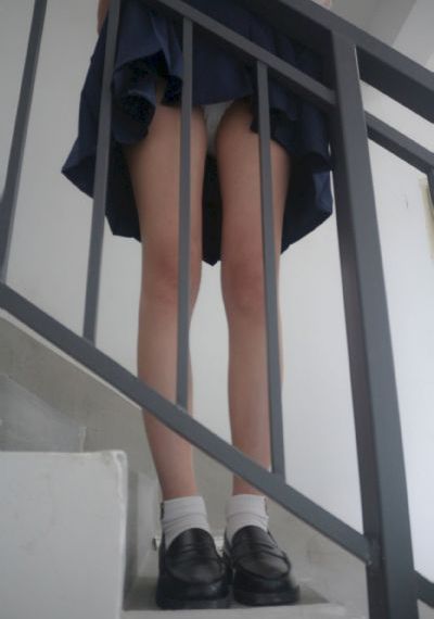 侏罗纪世界3免费观看高清完整版_DVD在线观看高清