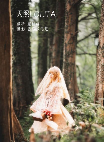 奔跑的人生电视剧免费观看_剧情片在线播放